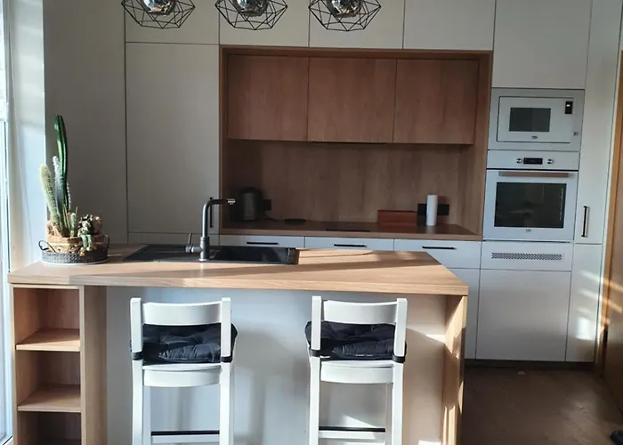 Zverynas Workation 아파트 *