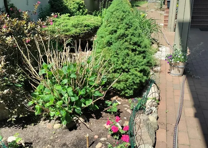 Zverynas Workation *