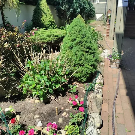 Zverynas Workation *