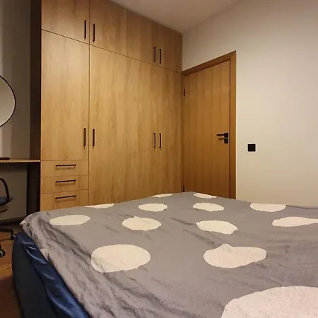 Zverynas Workation Apartment Wilna